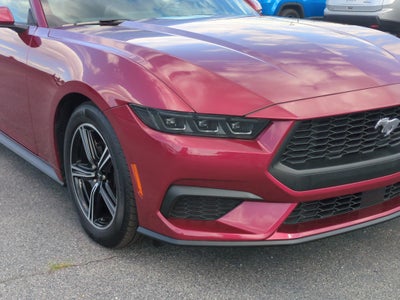2025 Ford Mustang EcoBoost