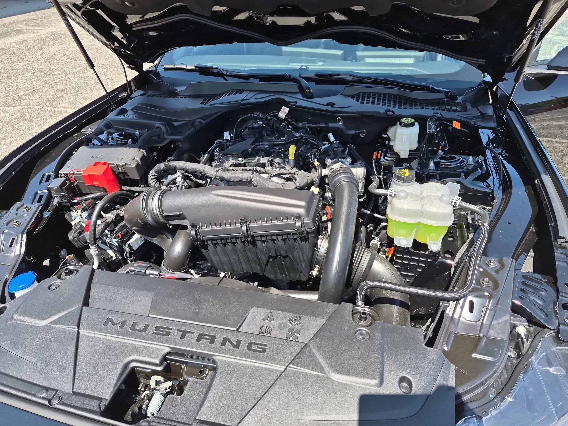 2026 Ford Mustang EcoBoost® Fastback
