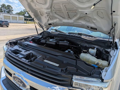 2019 Ford Super Duty F-250 SRW XL
