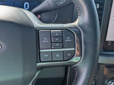2024 Ford Super Duty F-250 SRW Platinum