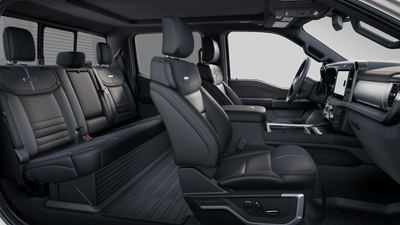 2025 Ford Super Duty F-250 SRW F-250® Platinum®