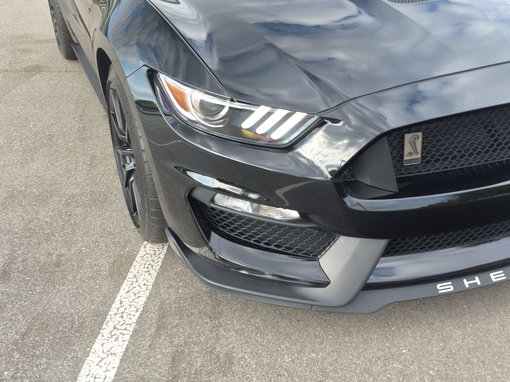 2016 Ford Mustang Shelby GT350