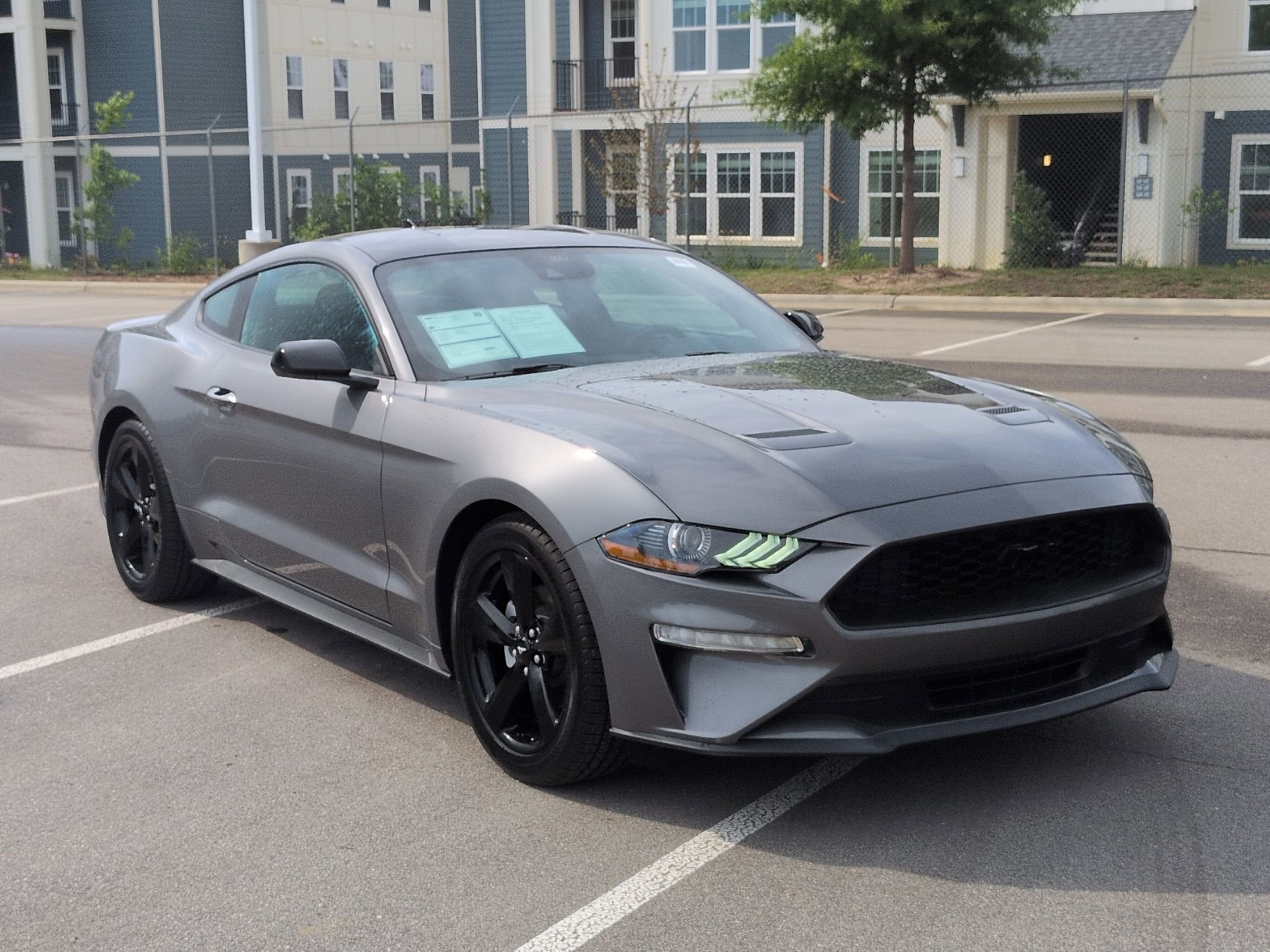 2023 Ford Mustang EcoBoost