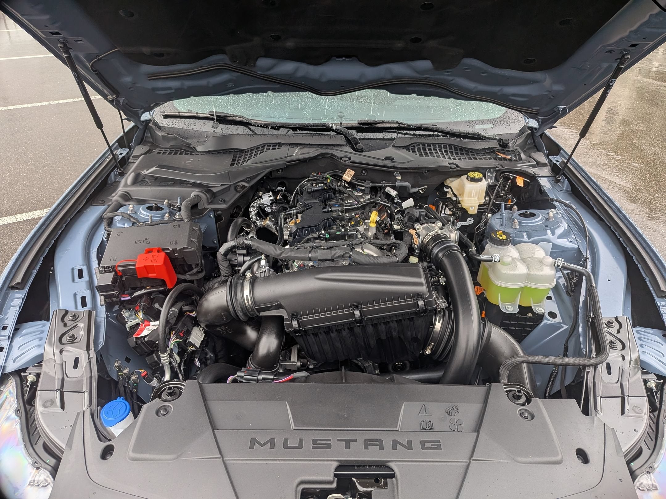 2026 Ford Mustang EcoBoost