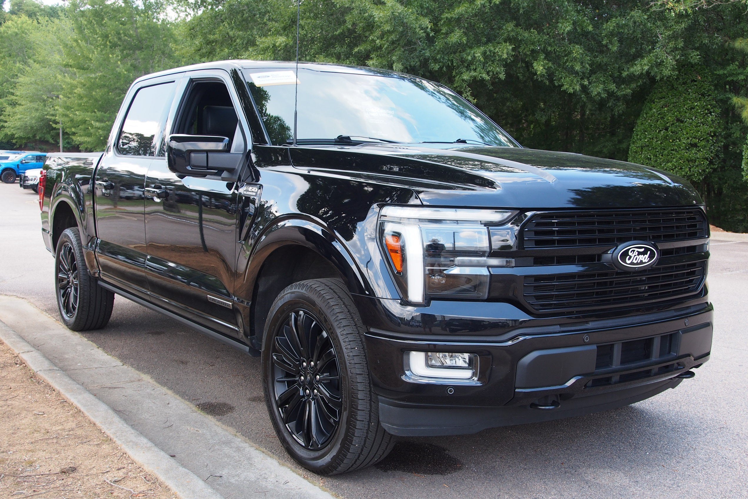 2025 Ford F-150 Platinum