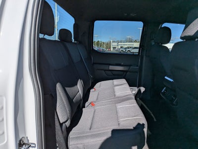 2026 Ford F-150 STX - LOBO