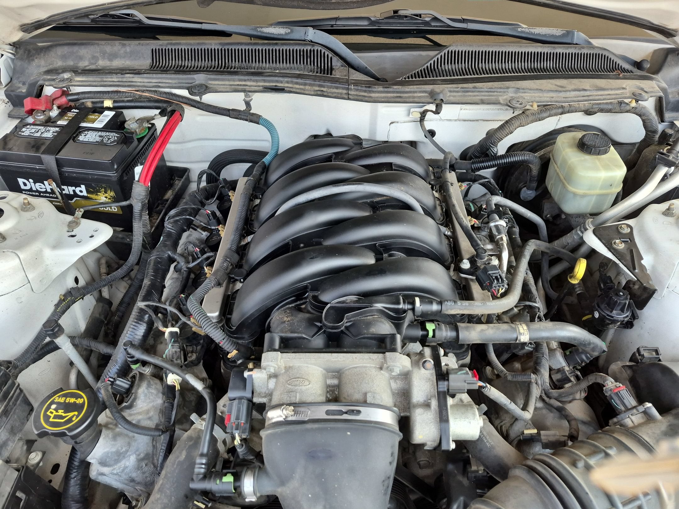 2006 Ford Mustang GT Premium
