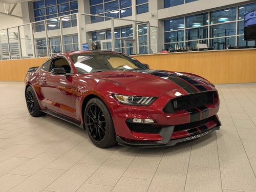 2019 Ford Mustang Shelby GT350