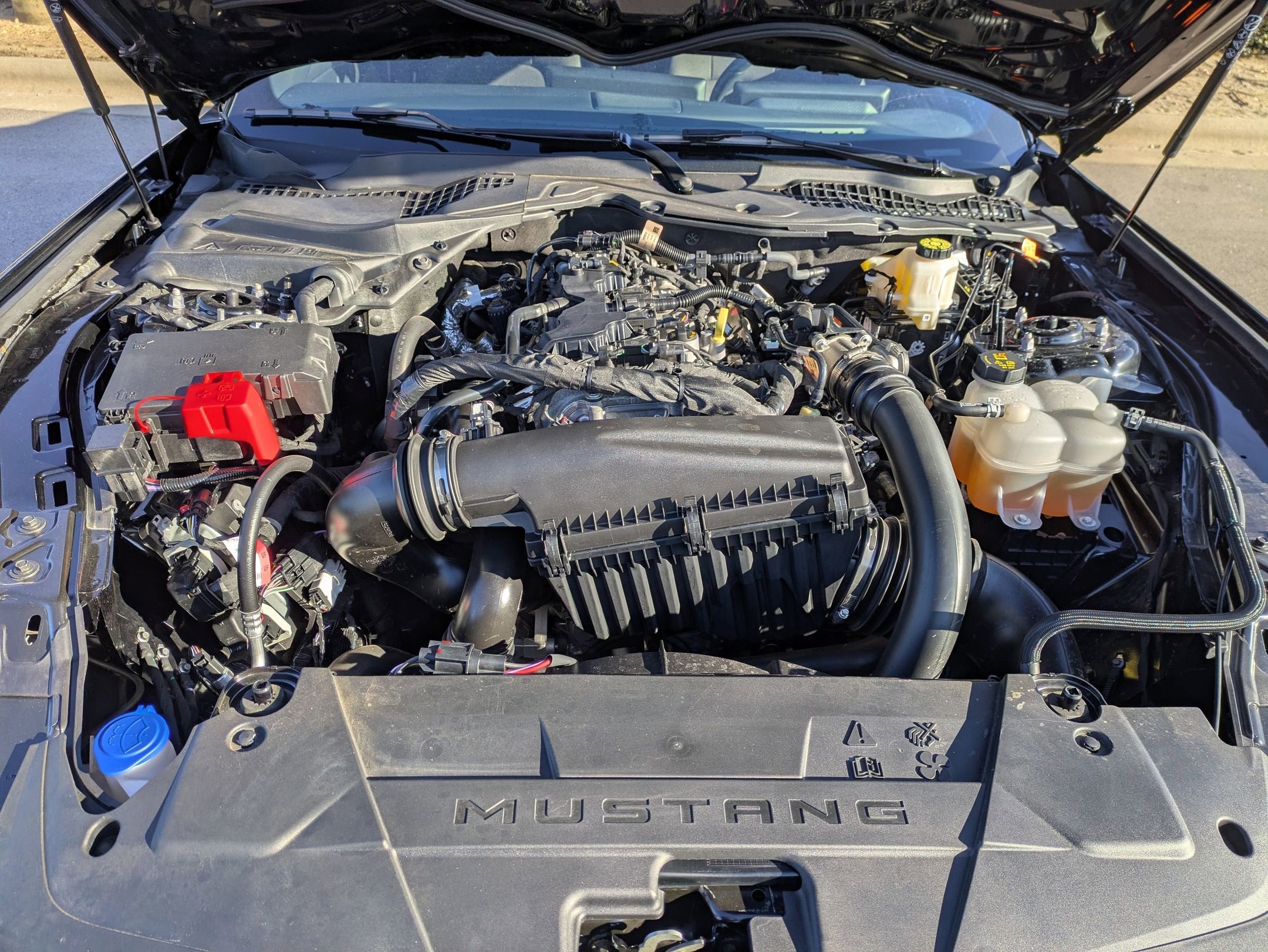 2024 Ford Mustang EcoBoost