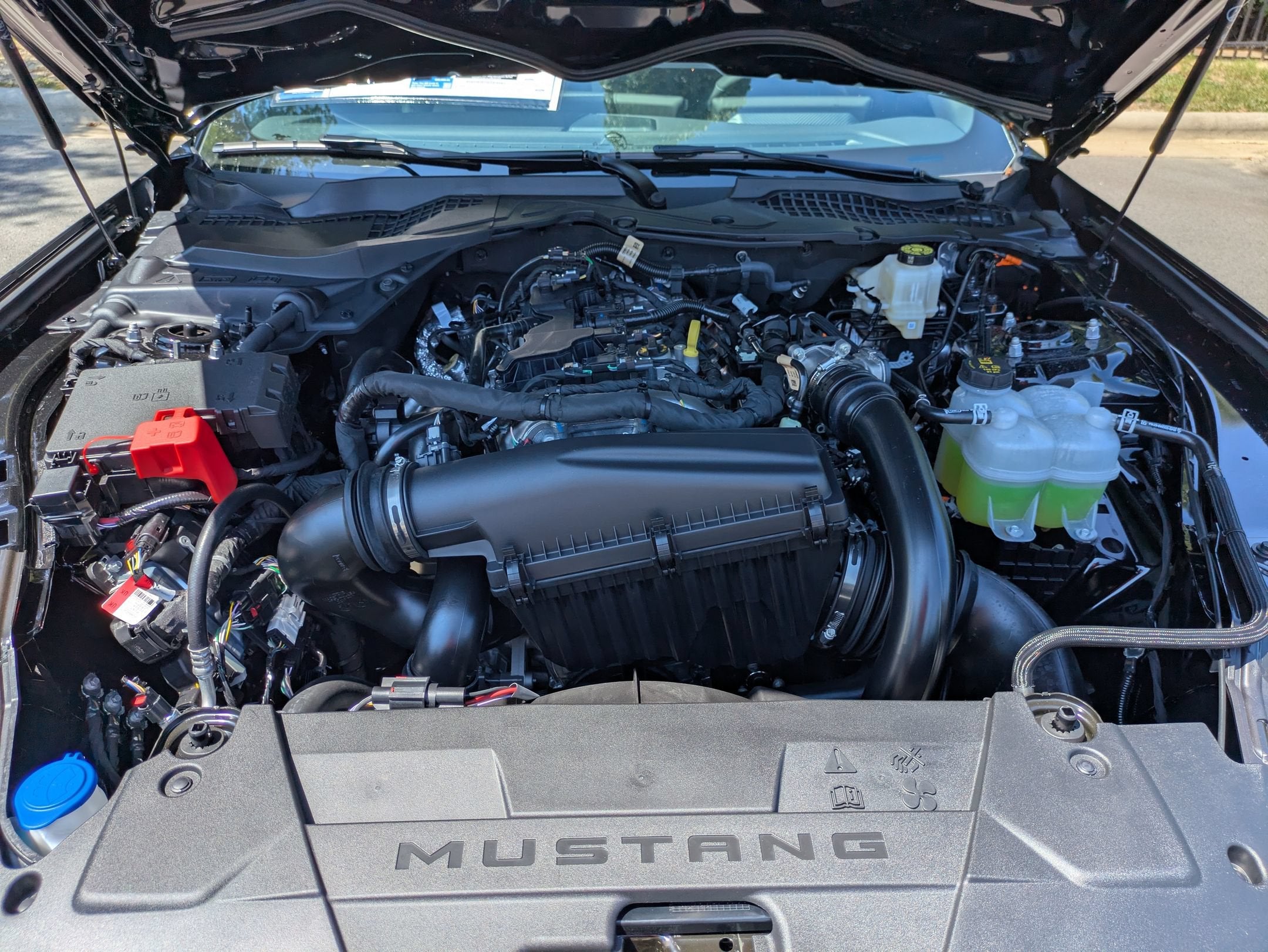 2026 Ford Mustang EcoBoost