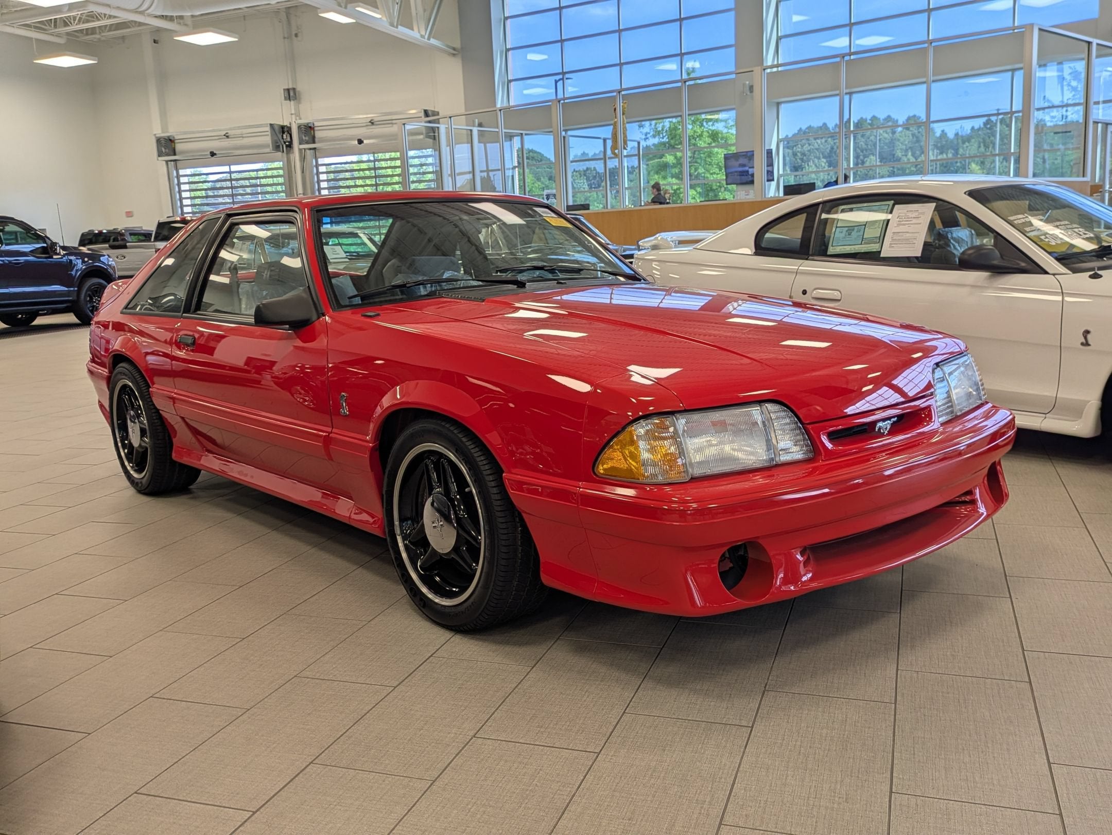 1993 Ford Mustang SVT Cobra R