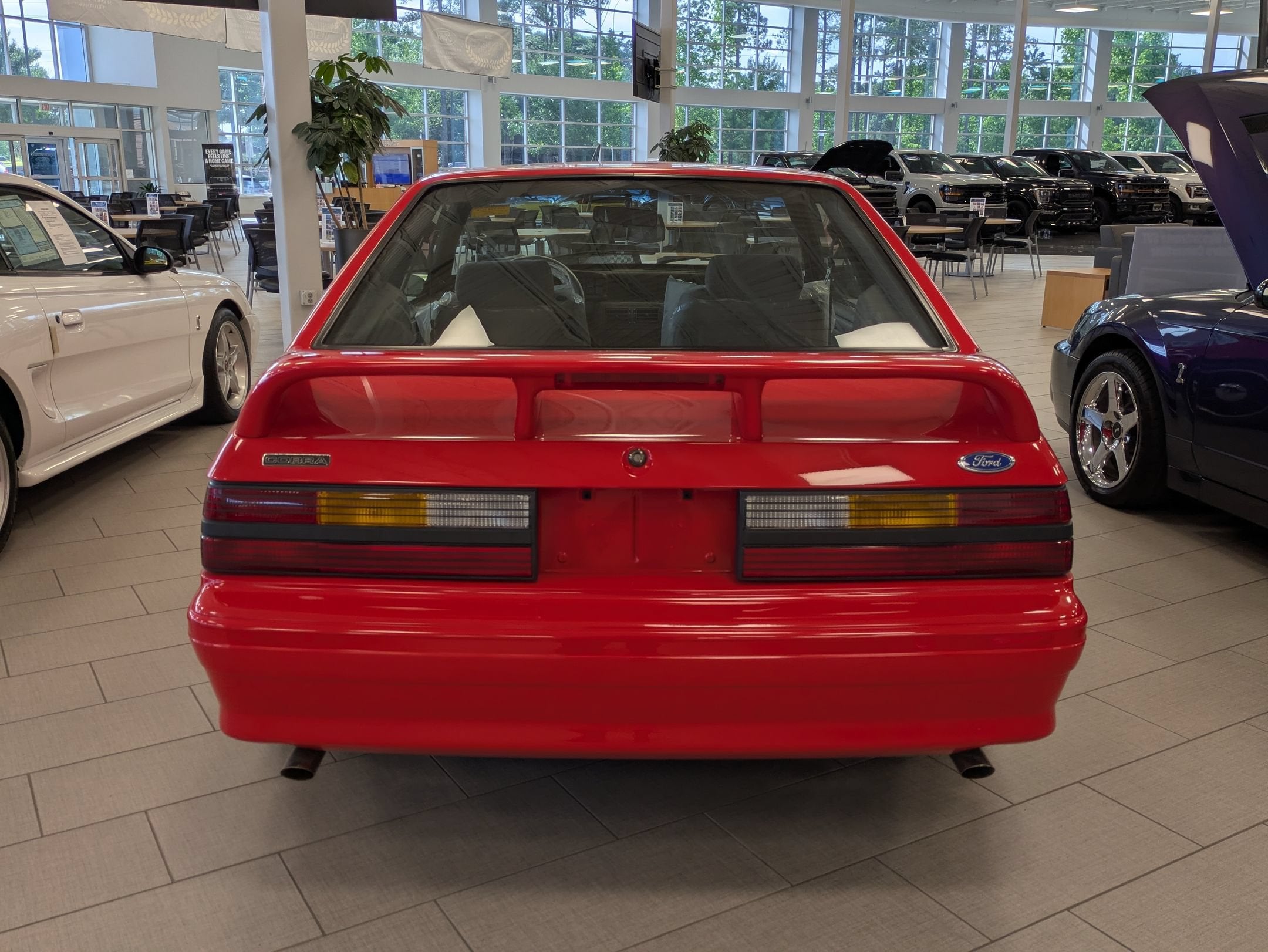 1993 Ford Mustang SVT Cobra R