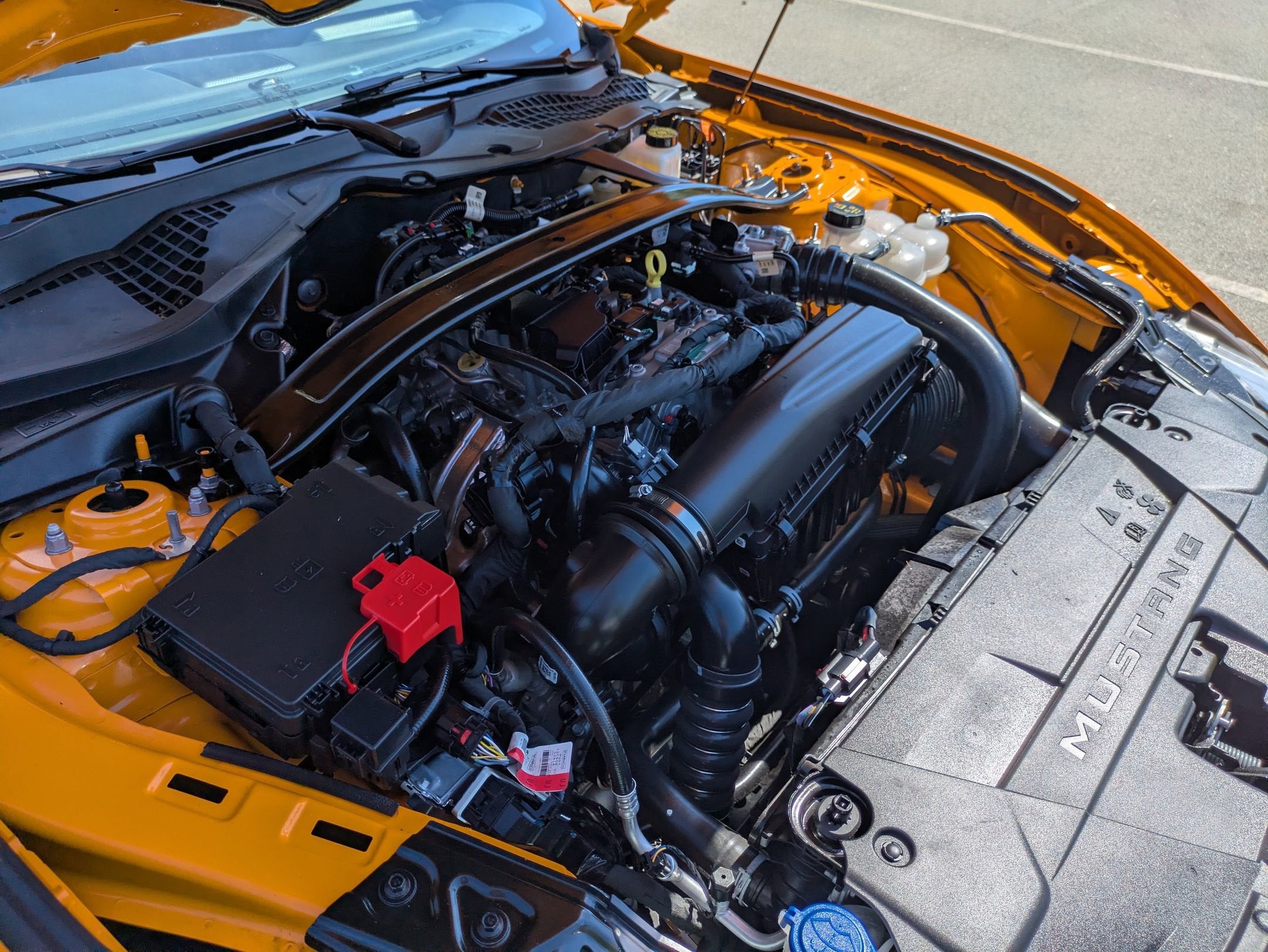 2026 Ford Mustang EcoBoost Premium