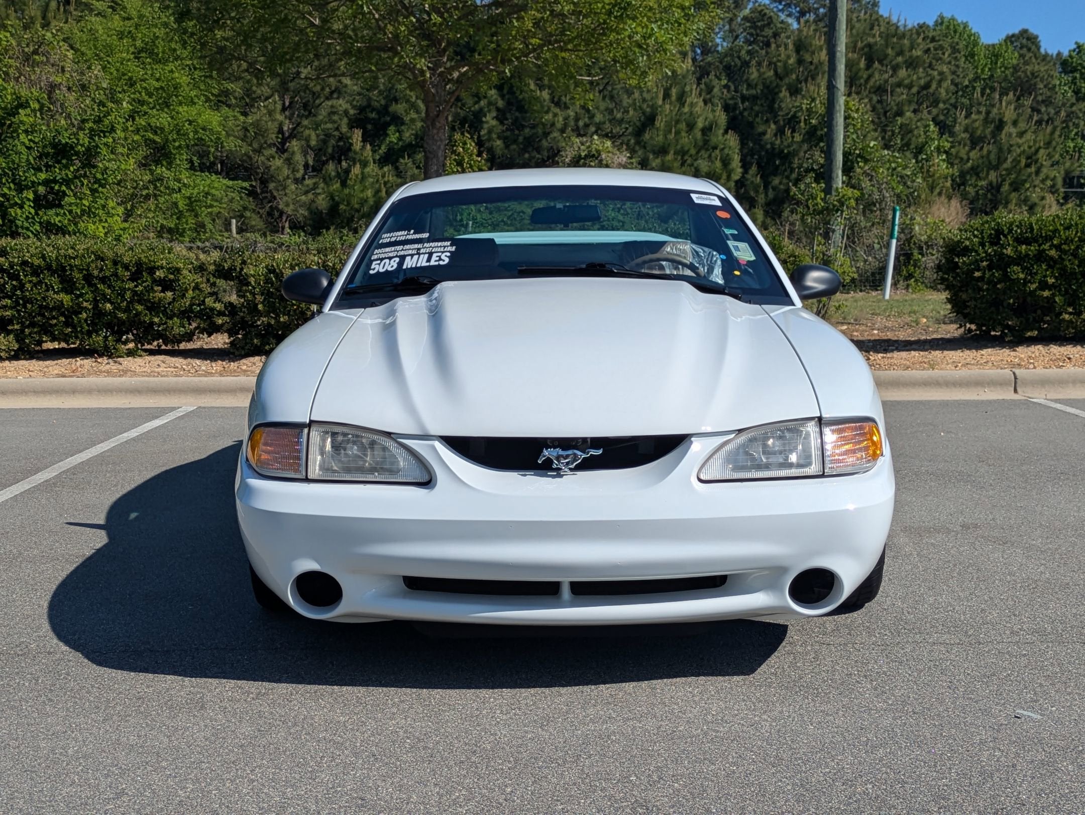 1995 Ford Mustang SVT Cobra R
