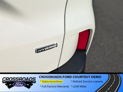 2025 Ford Escape ST-Line - Crossroads Courtesy Demo