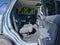 2026 Ford Expedition Active - Crossroads Courtesy Demo