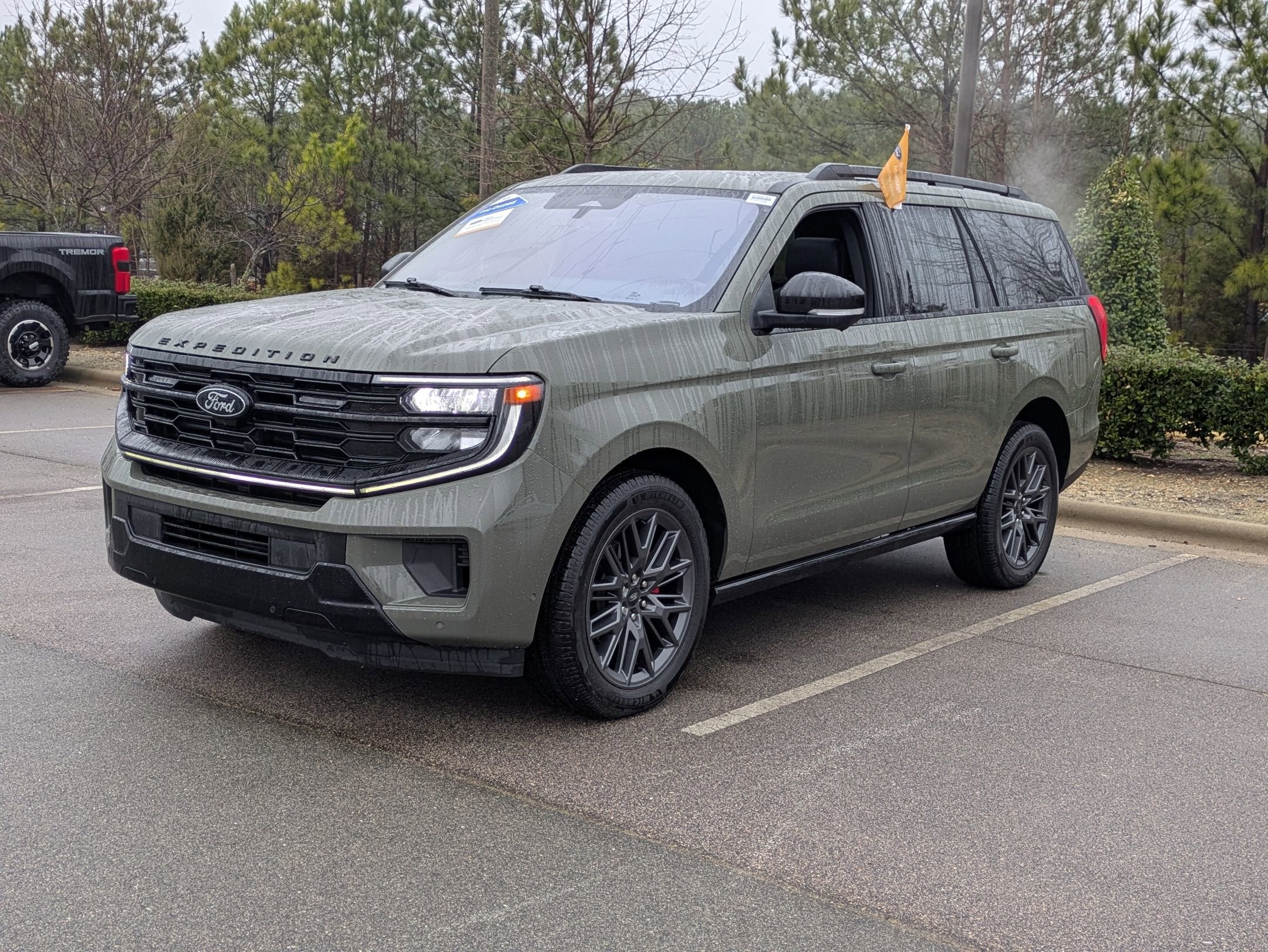 2025 Ford Expedition Platinum