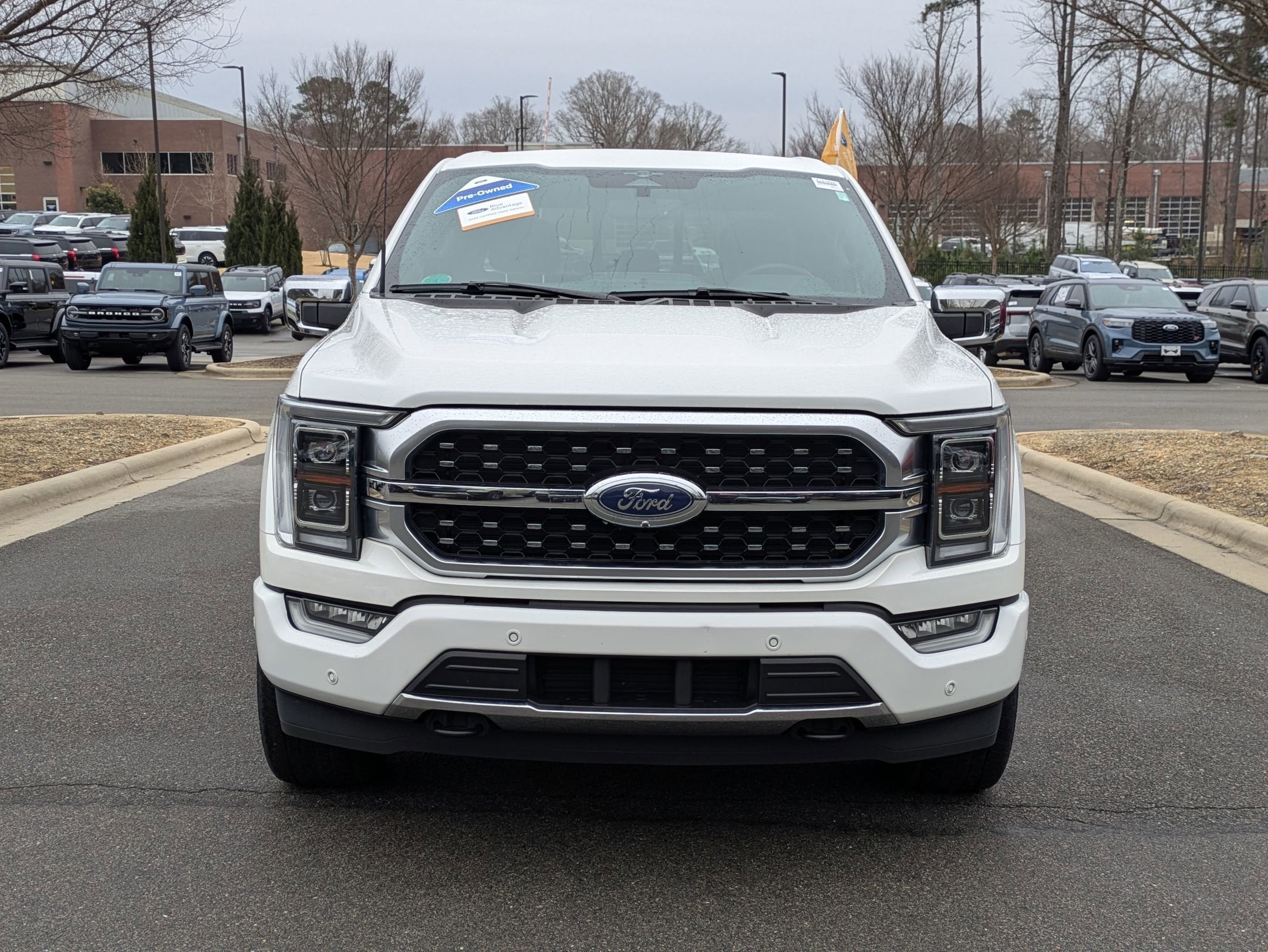 2023 Ford F-150 Platinum