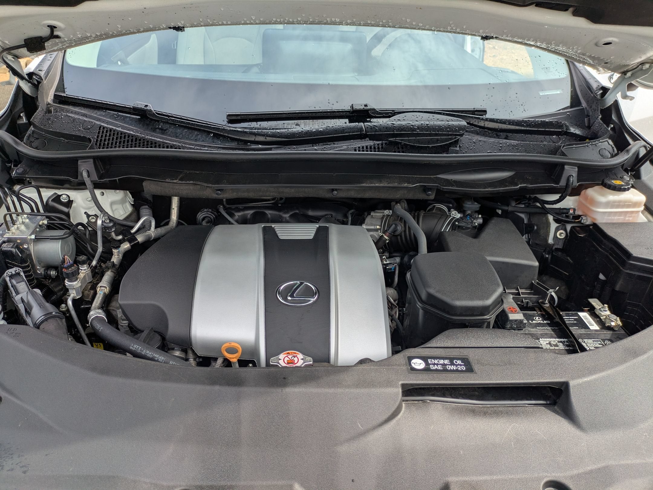 2020 Lexus RX RX 350
