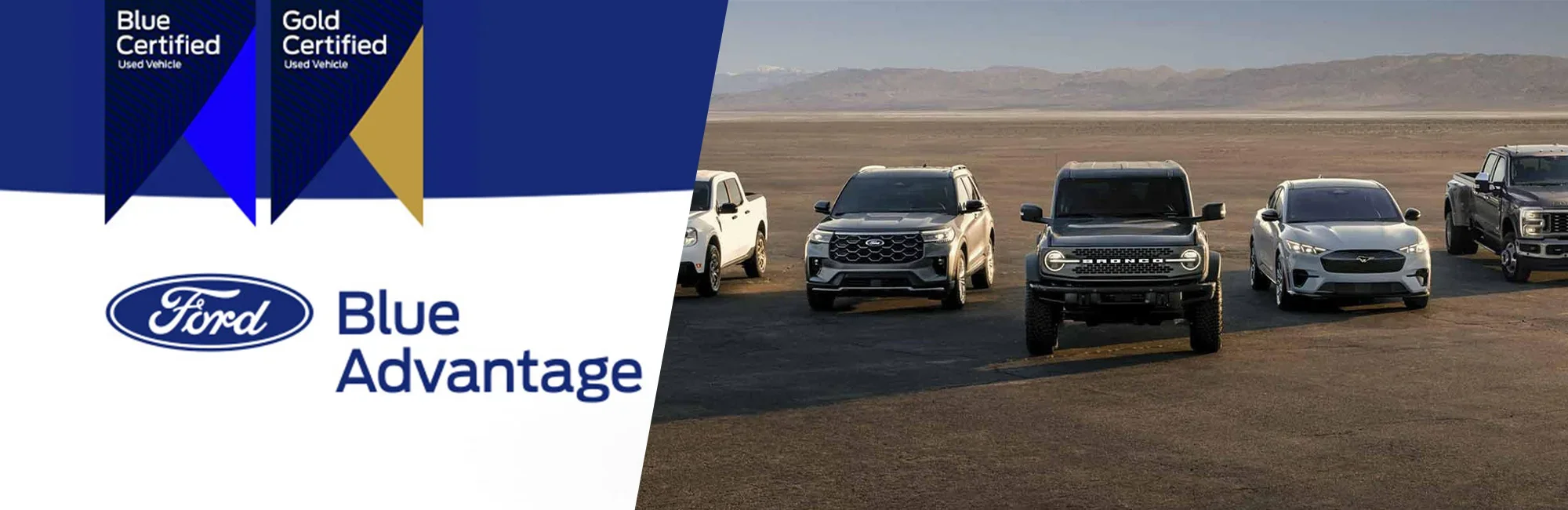 Ford Inventory in Sumter, SC